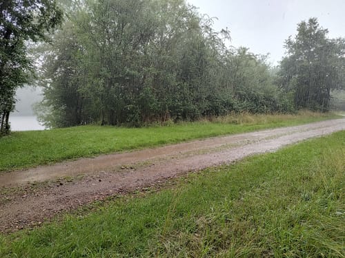 Grüner Ring Nord Wanderung Nienburg