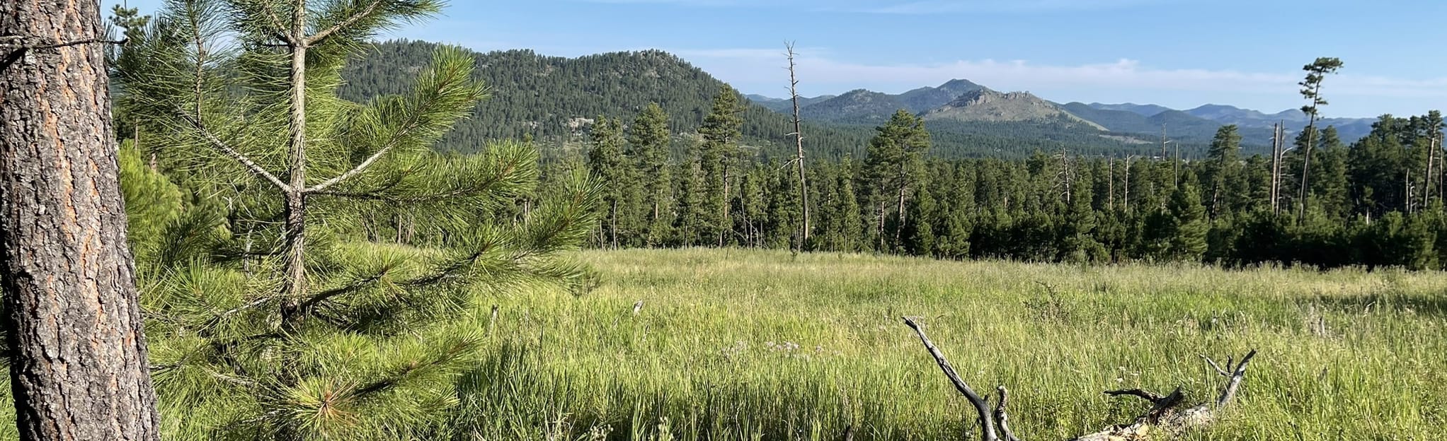 Willow Creek Trail, South Dakota 425 Reviews, Map AllTrails