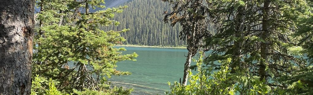 Boom Lake Trail: 1,960 Reviews, Map - Alberta, Canada | Alltrails