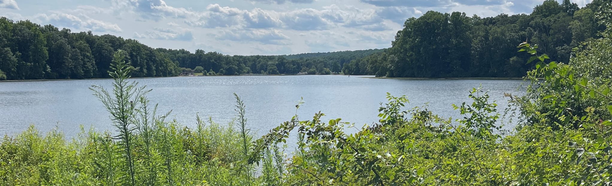 Hopewell Lake Loop: 846 Reviews, Map - Pennsylvania | AllTrails