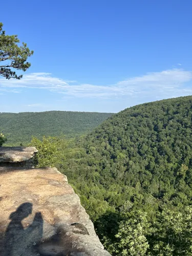 2023 Best Cave Trails in Pettigrew | AllTrails