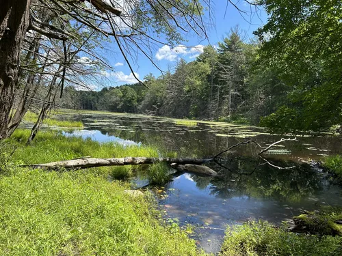 10 Best Hikes and Trails in Callahan State Park | AllTrails