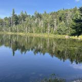 Crane Mountain Loop Hike, New York - 1,258 Reviews, Map | AllTrails