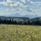 Clear Creek Trail via Turpin Meadow: 22 Fotos - Wyoming | Wandern ...