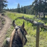 Clear Creek Trail via Turpin Meadow: 22 Fotos - Wyoming | Wandern ...