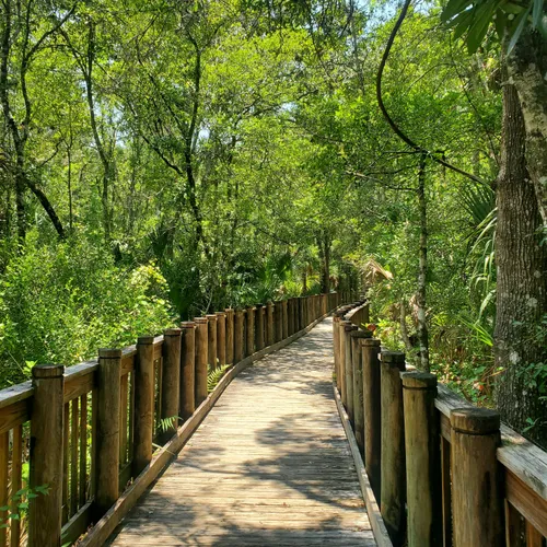 2023 Best Partially Paved Trails in New Port Richey AllTrails