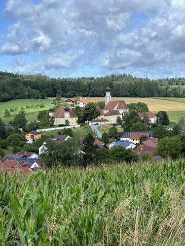 Steinkartrundweg: Wanderweg 6, A6