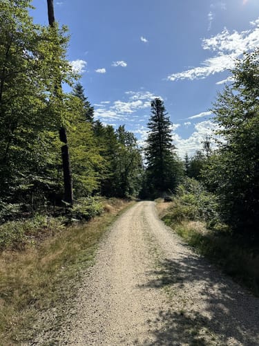 Steinkartrundweg: Wanderweg 6, A6