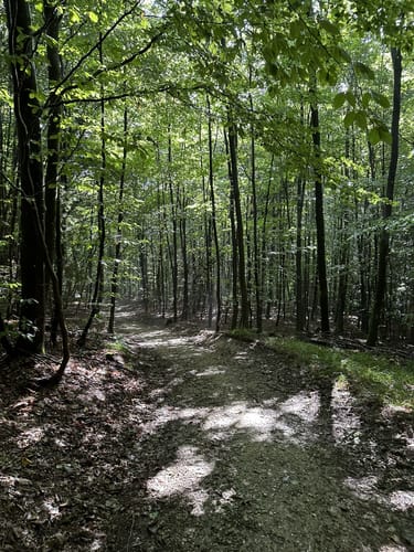 Steinkartrundweg: Wanderweg 6, A6
