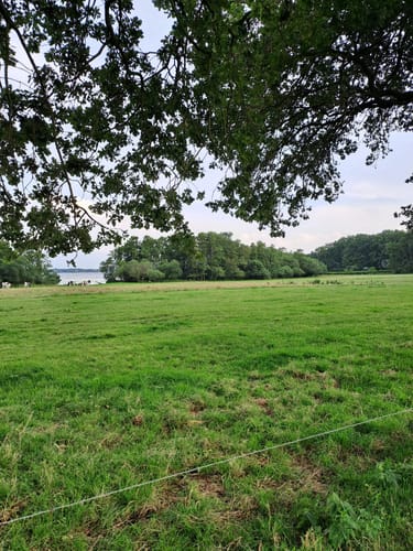 Zwischenahner Meerweg