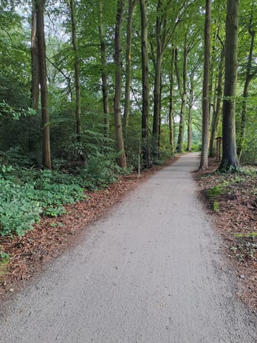 Zwischenahner Meerweg