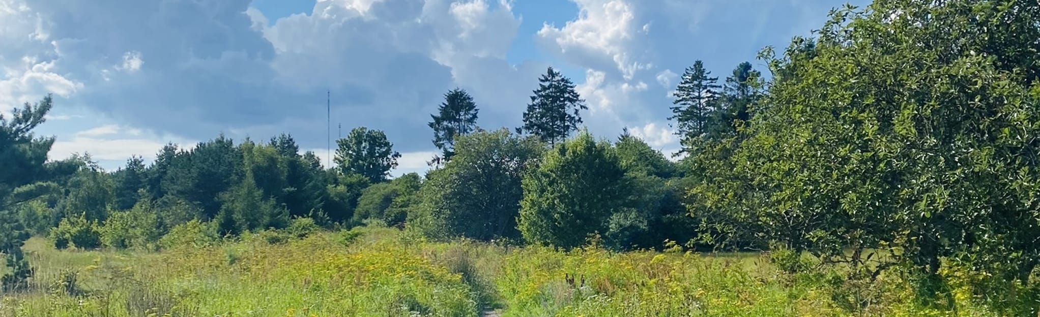 Drastrup Forest Loop, North Denmark Region, Denmark - 33 Reviews, Map ...