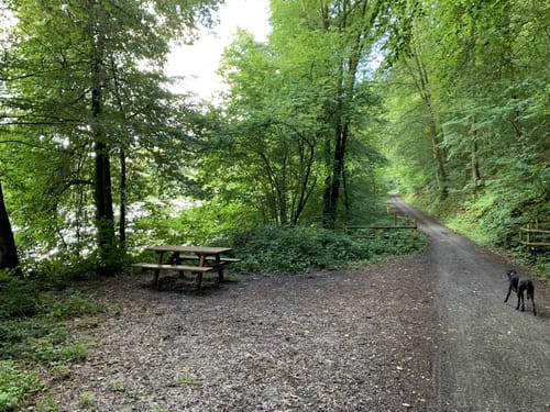 Hirschhorn: Neckar - Weg H2