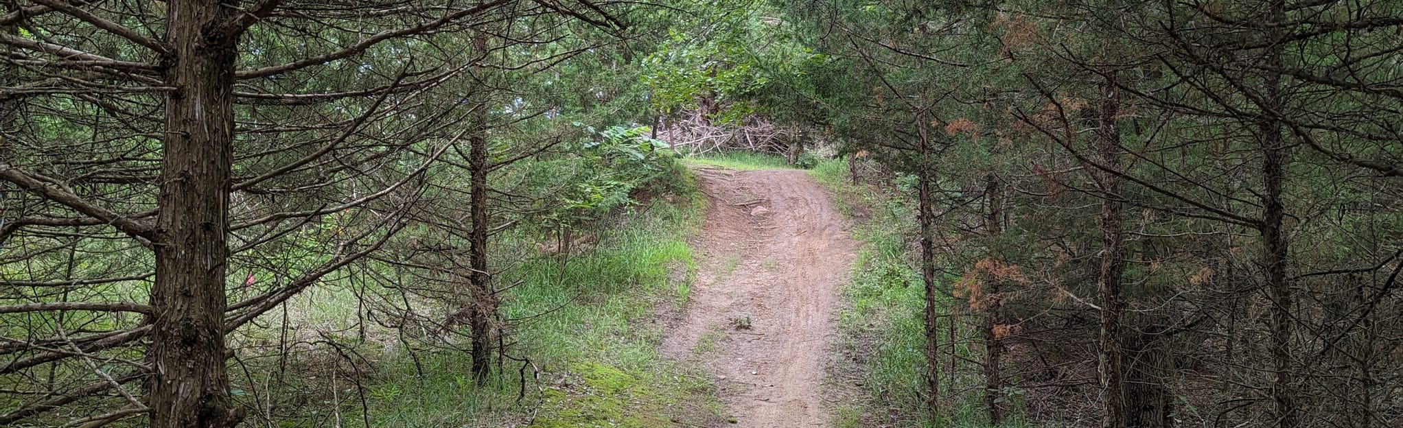 Branched Oak Lake North Trail, Nebraska 70 Reviews, Map AllTrails