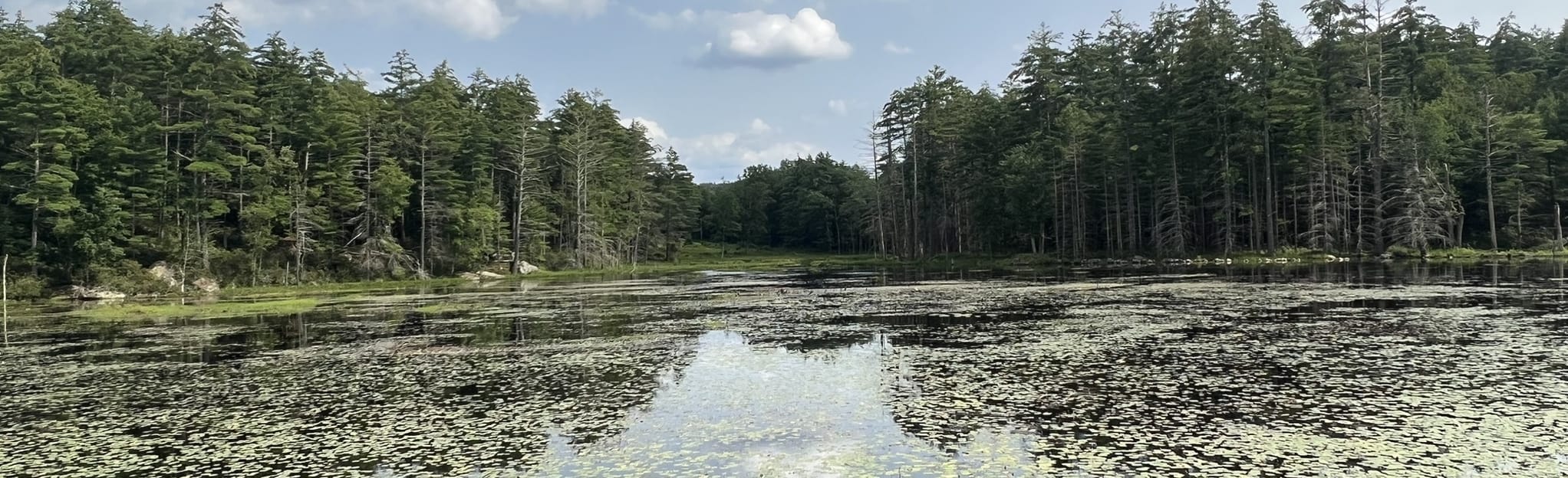 Bartell, Blue, Quarry and Granite Town Rail Trail, New Hampshire 145