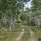 Mount Haggin Trail, Montana - 44 Reviews, Map | AllTrails