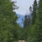 Mount Haggin Trail, Montana - 44 Reviews, Map | AllTrails