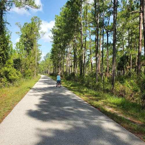 2023 Best Road Biking Trails in New Port Richey AllTrails