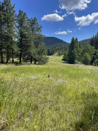 Best Hikes and Trails in Flying J Ranch Park | AllTrails