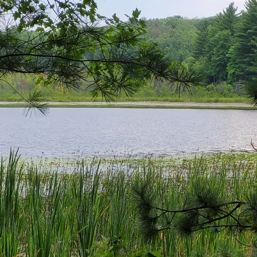 2023 Best Historic Site Trails in White Cloud AllTrails