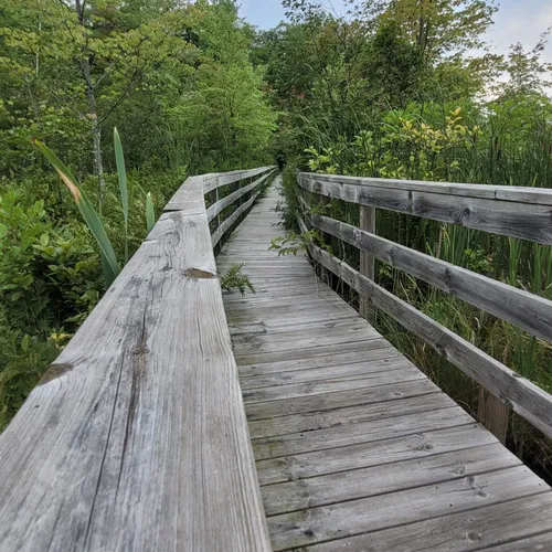 Best Historic Site Trails in White Cloud AllTrails