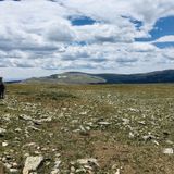 Jicarita Peak, New Mexico - 75 Reviews, Map | AllTrails