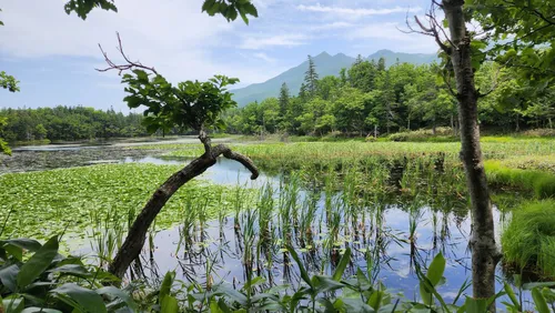 Shiretoko national park hiking sale