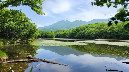 Best Hikes And Trails In Shiretoko National Park 