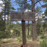 Woodchute Trail, Arizona - 672 Reviews, Map | AllTrails