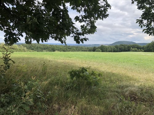 Kleinopitz - Opitzer Höhe - Kirschberg