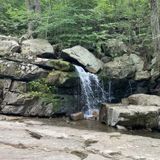 Old Mineral Springs Trail, New York - 344 Reviews, Map | AllTrails