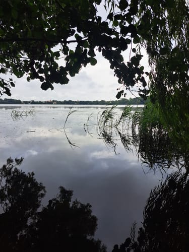 Am Stausee Rotha