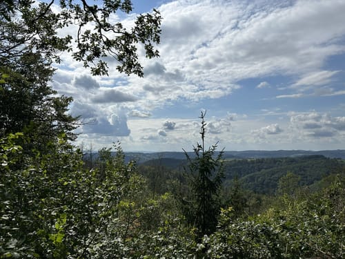 Ruine Neuerburg und Fockenbachtal (Kurtscheid K2)