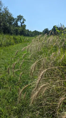 Best Hikes And Trails In Joseph H. Williams Tallgrass Prairie Preserve ...