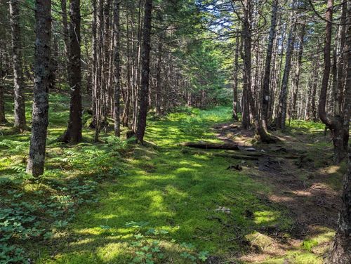 Goose River Trail: 296 fotos - Nuevo Brunswick, Canadá