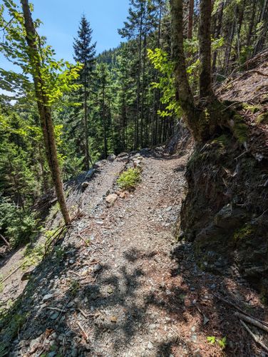 Goose River Trail: 296 fotos - Nuevo Brunswick, Canadá