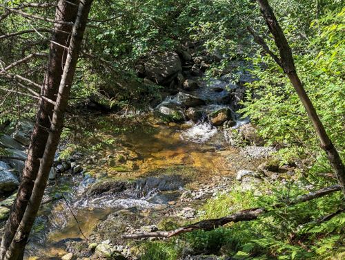 Goose River Trail: 296 fotos - Nuevo Brunswick, Canadá