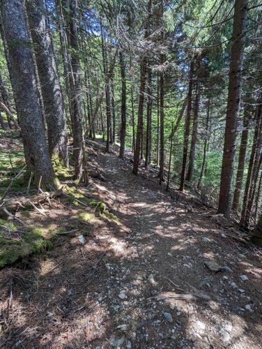 Goose River Trail: 296 fotos - Nuevo Brunswick, Canadá