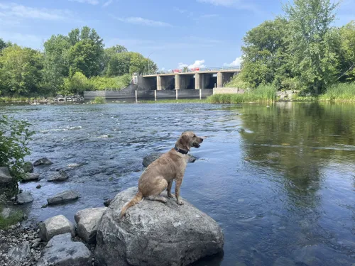 Best Hikes and Trails in Rideau Valley Conservation Authority | AllTrails