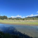 Queets river trail hotsell