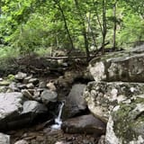 Musconetcong Gorge, New Jersey - 857 Reviews, Map | AllTrails