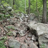 Musconetcong Gorge, New Jersey - 857 Reviews, Map | AllTrails