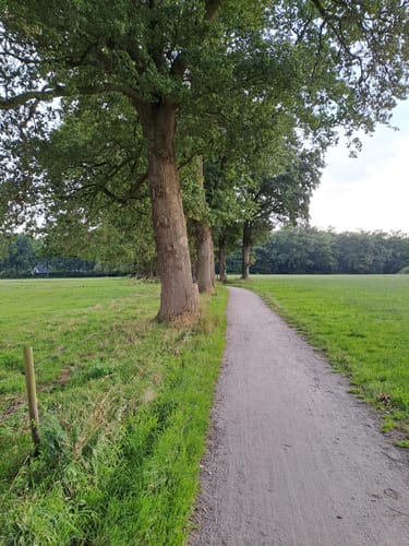 Zwischenahner Meerweg