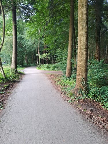 Zwischenahner Meerweg