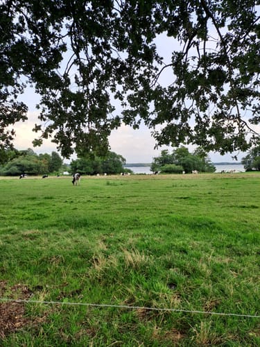 Zwischenahner Meerweg