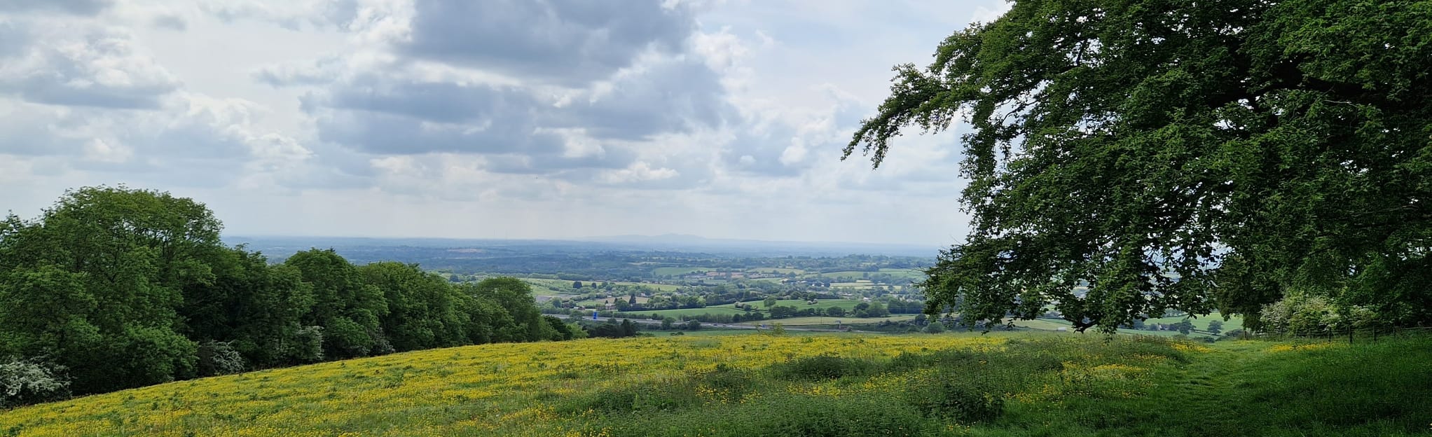 Waseley Hills Country Park Circular: 3 Reviews, Map - West Midlands ...