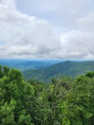 10 Best Hikes and Trails in Frozen Head State Park | AllTrails