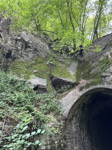 Von Döttesfeld durchs Grenzbachtal
