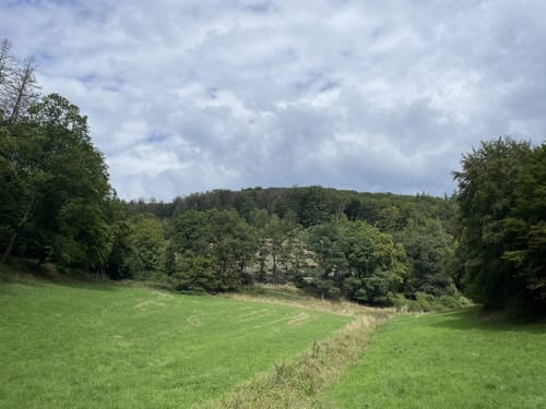 Kiedrich - Bärstadt - Hausen vor der Höhe
