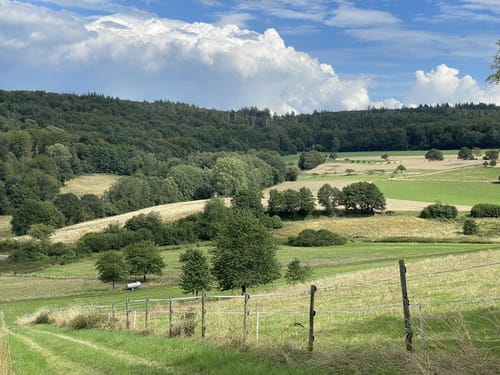 Kiedrich - Bärstadt - Hausen vor der Höhe